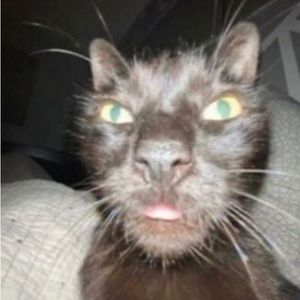 Meet your Posher, Monique